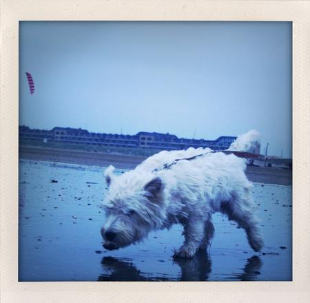 On the beach.