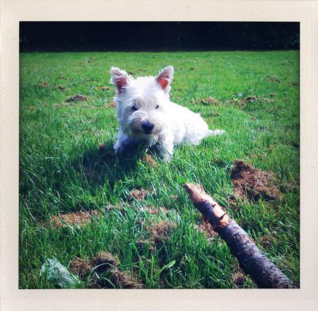 We played in the park for a while.