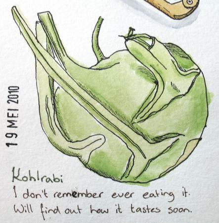 Kohlrabi .