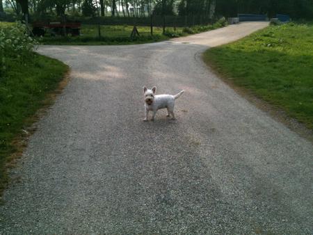 In the park.