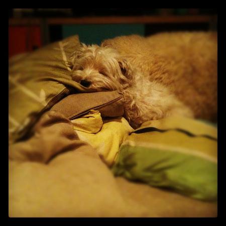 She took all the pillows...