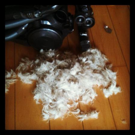 After our first haircut session.