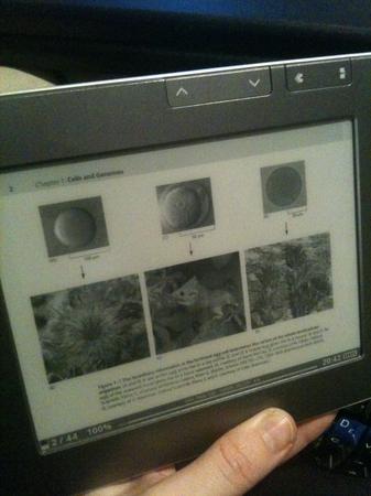 Images on the reader.