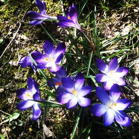 Spring !