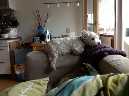 Nano doing her weird thing....