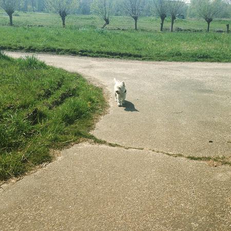 She took corners like a pro!