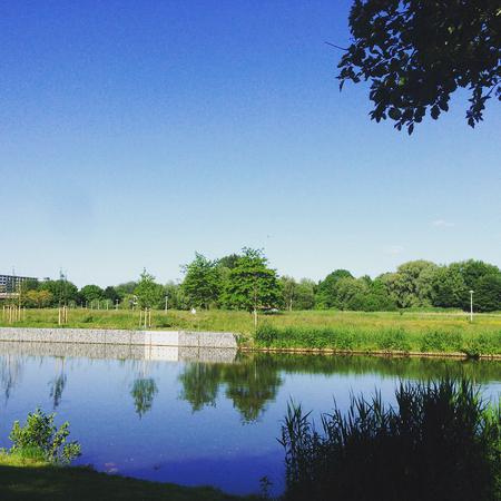 Gorgeous day #day59 #sky