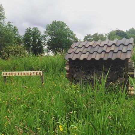 Insect hotel #day76 #insects