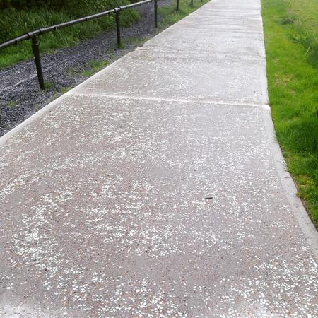 Glow in the dark cycle path. #day38 #cycling