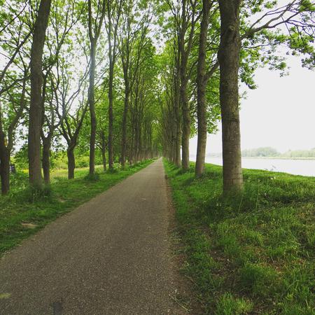 Empty road.  #day43 